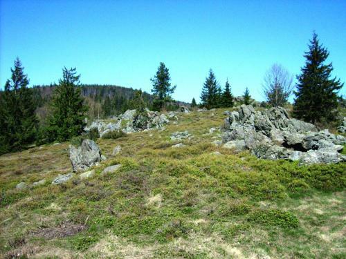Holiday Home Am Hochfels Stadlern