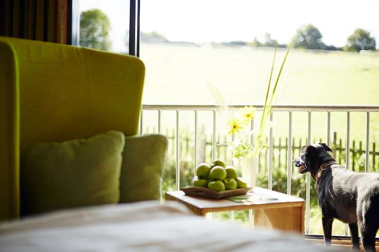 Naturhotel Wildewiese