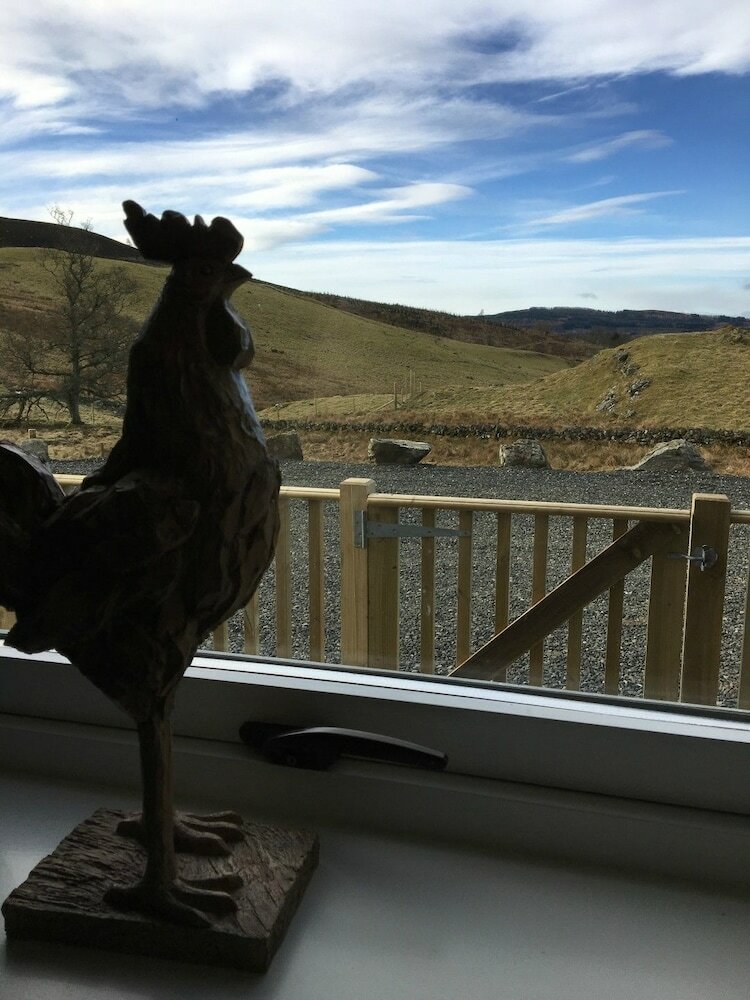 Stags View 486556