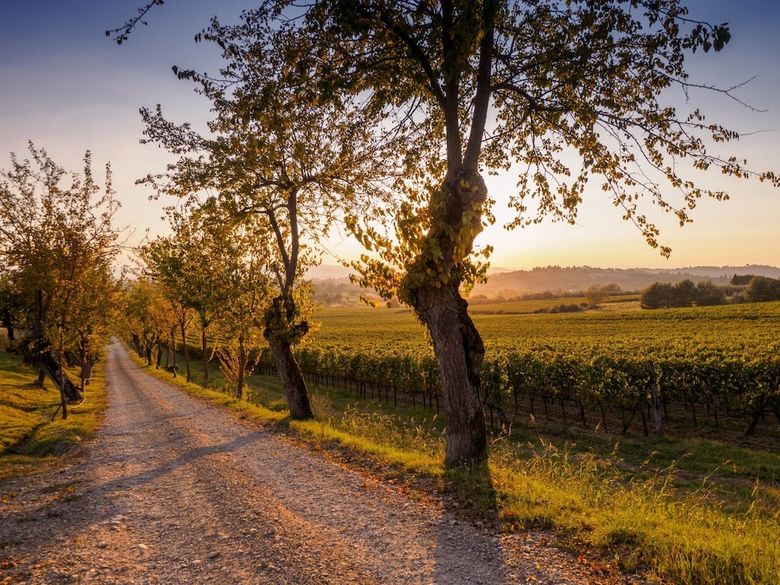 Agroturismo Borgo Il Palazzo