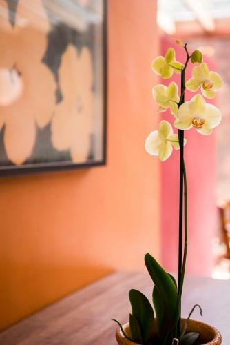 Hostal Pousada Arma��o De Camburi