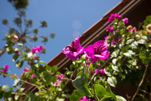 Hotel Das Arauc�rias