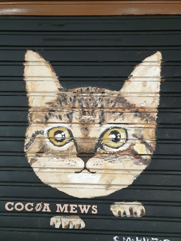 Hostal Cocoa Mews Cafe & Homestay