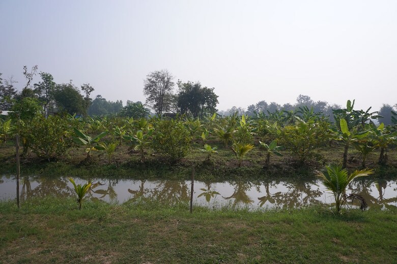 Hotel Bn Organic Farm Resort
