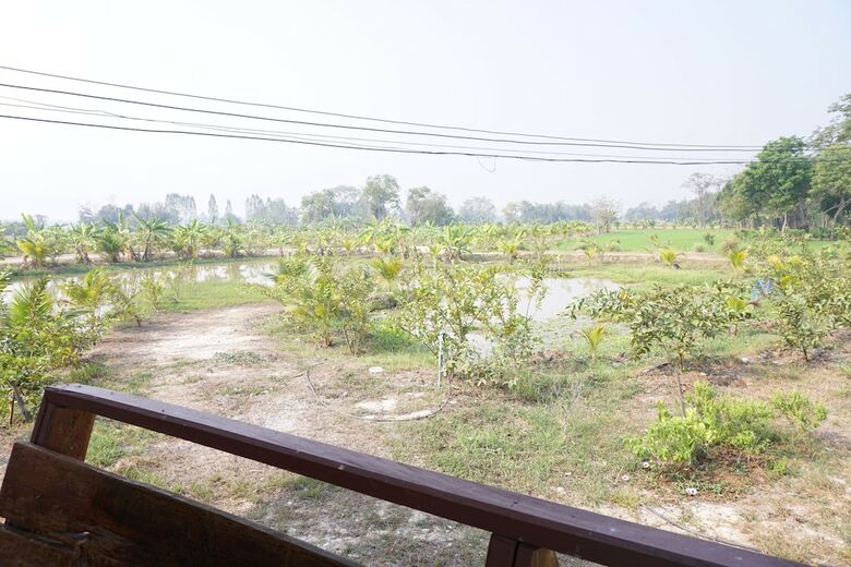 Hotel Bn Organic Farm Resort