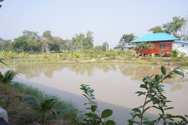 Hotel Bn Organic Farm Resort