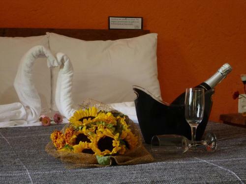 Hostal Pousada Vov� Alice