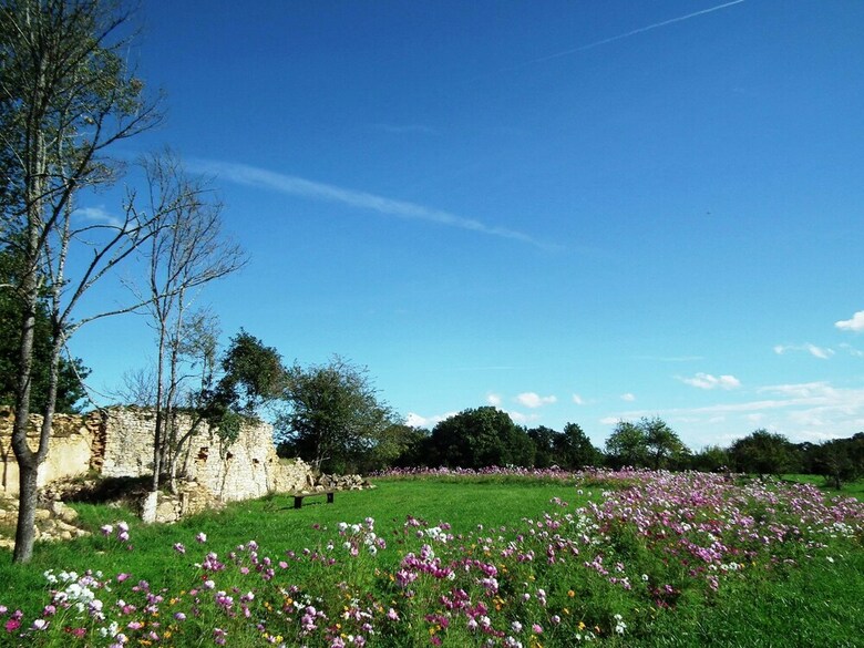 Domaine De Gavaudun