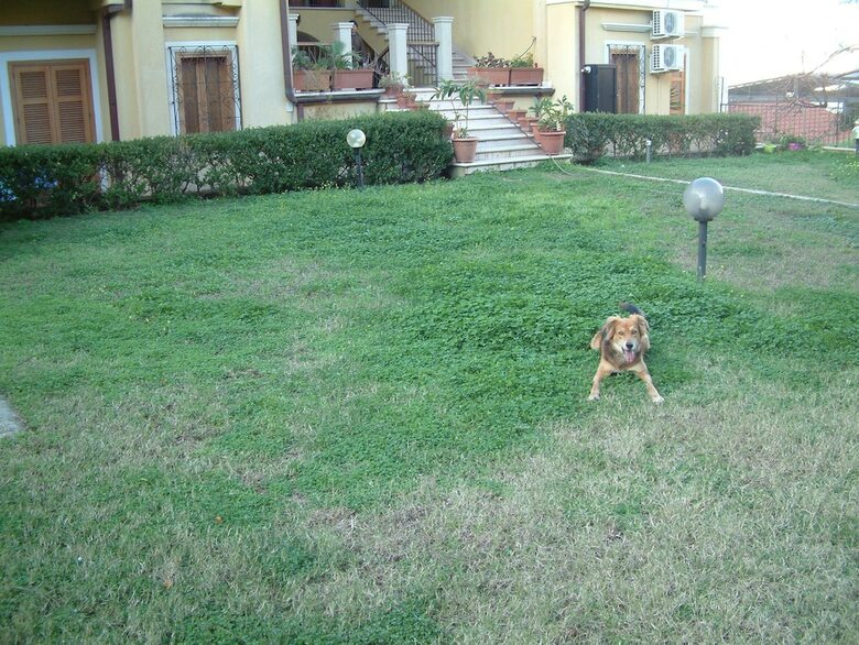 Bed & Breakfast La Dimora Del Borgo