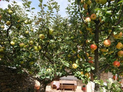 Agroturismo Ermita de Gredos