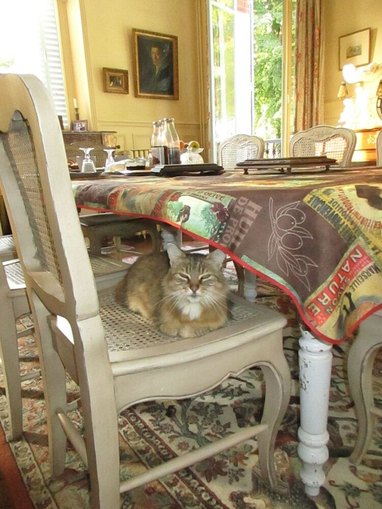 Bed & Breakfast Villa Mazi�res de St Loup