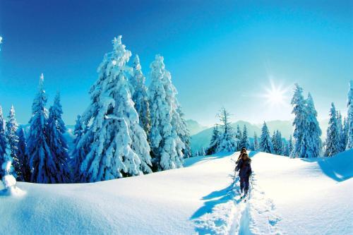 Mammhofer Suite & Breakfast