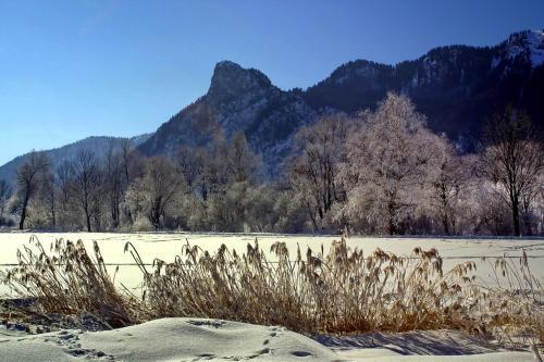 Mammhofer Suite & Breakfast