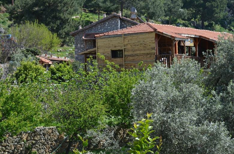 Bed & Breakfast Faralya Limon Hotel