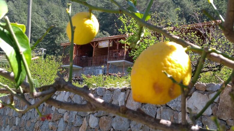 Bed & Breakfast Faralya Limon Hotel