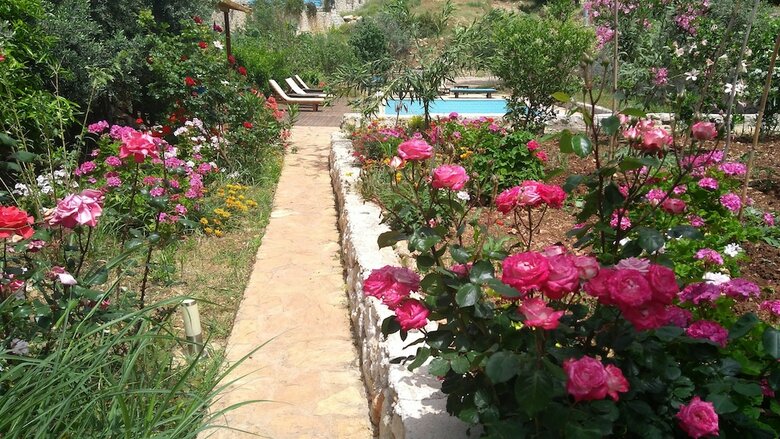 Bed & Breakfast Faralya Limon Hotel