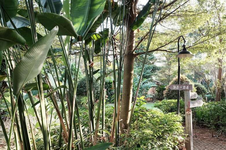 Hotel Khao Yai Cottage