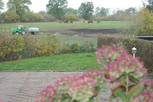 Hotel Landhaus Hammoor