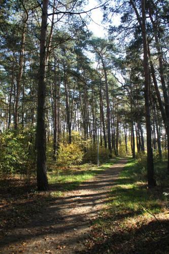 Heide-camp Colbitz