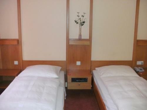 Hostal Gasthof Landhotel Gr�ner Baum