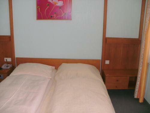 Hostal Gasthof Landhotel Gr�ner Baum