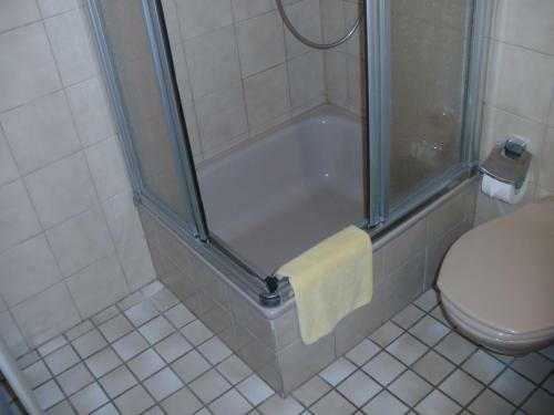 Hostal Gasthof Landhotel Gr�ner Baum