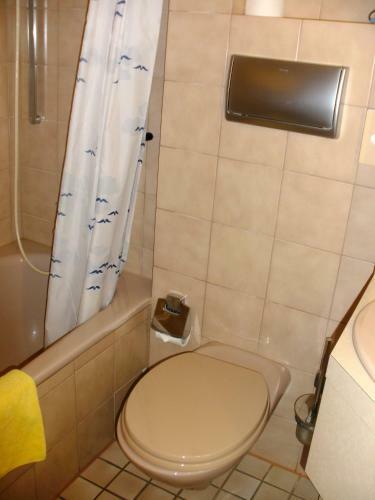 Hostal Gasthof Landhotel Gr�ner Baum