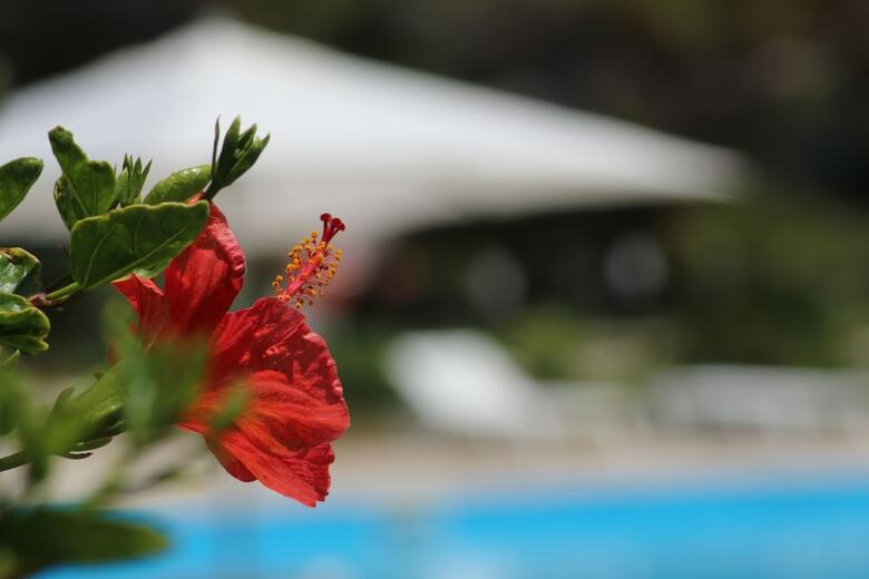 Hotel Bv Kalafiorita Resort