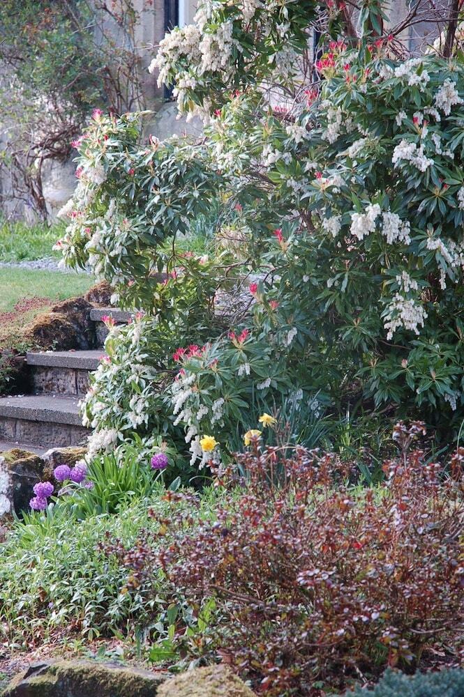 Bed & Breakfast Lubnaig Guest House