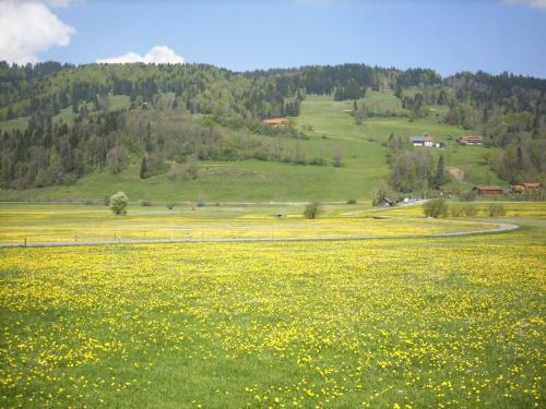 Hostal Gasthof J�gerhaus