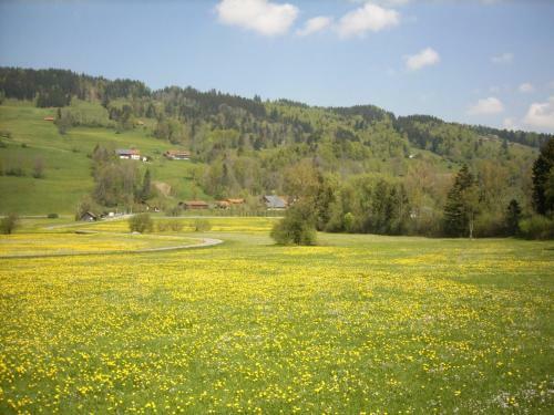 Hostal Gasthof J�gerhaus