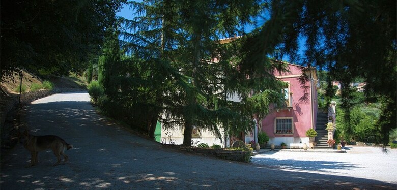 Apartamento I Tre Tigli - Casa Di Campagna