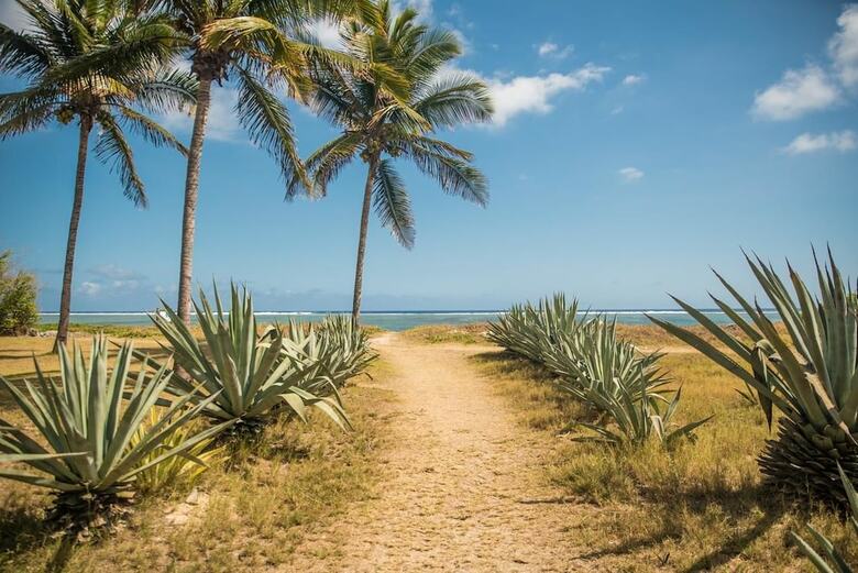 Apartamentos Appartement La Galawa