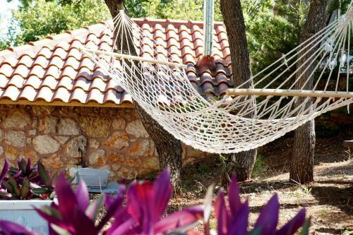 Villa Ariadne Eco Retreat