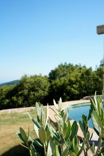 Villa Ariadne Eco Retreat