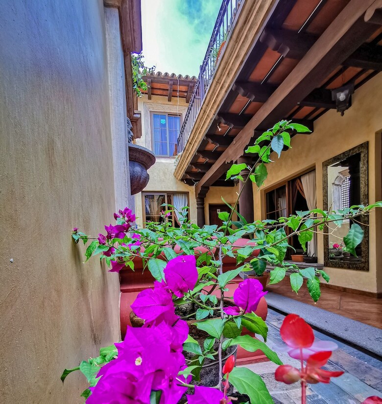 Bed & Breakfast Central Bougainvillea