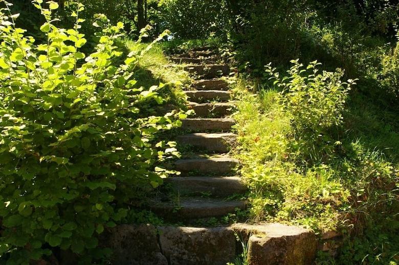 Gite Les Roseaux