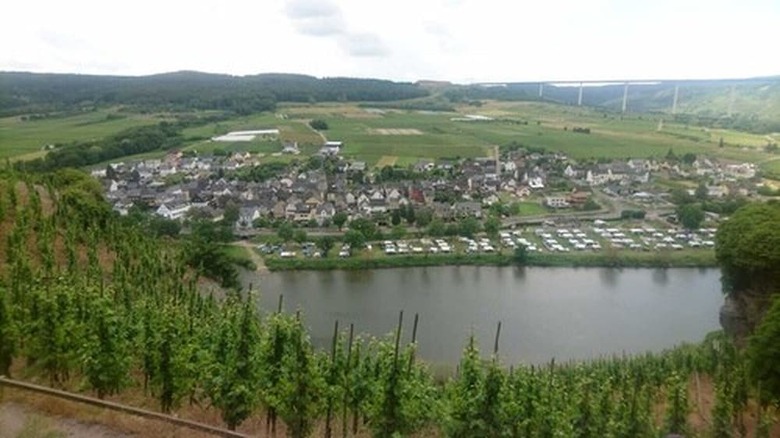 Hotel Weingut & G�stehaus Kaufmann-schneider