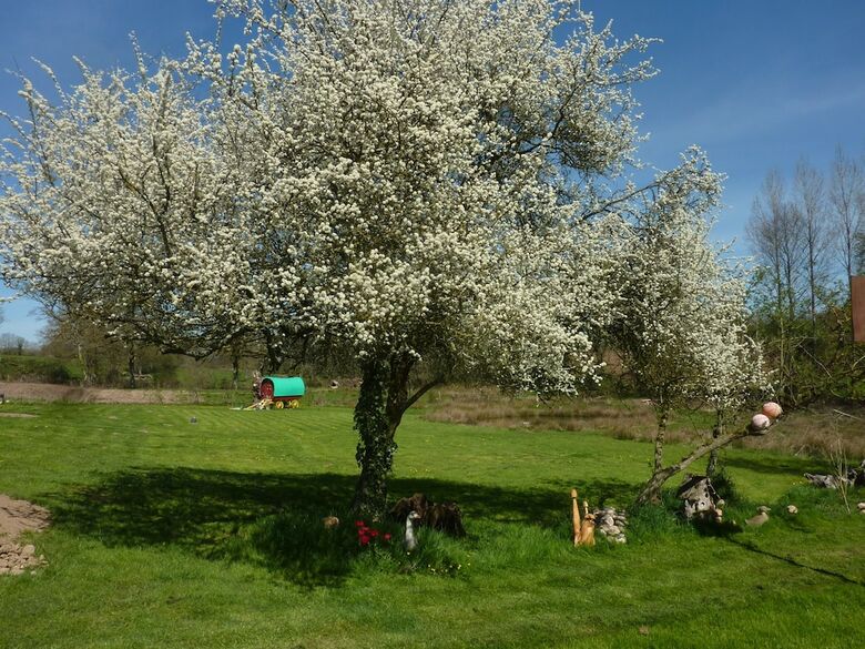 La Ferme De Boh�me