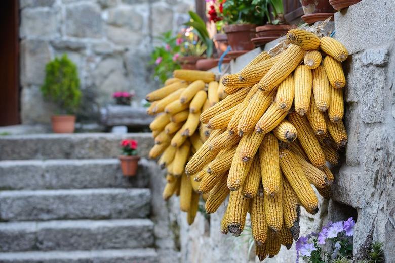 Agroturismo Aldea Bordons