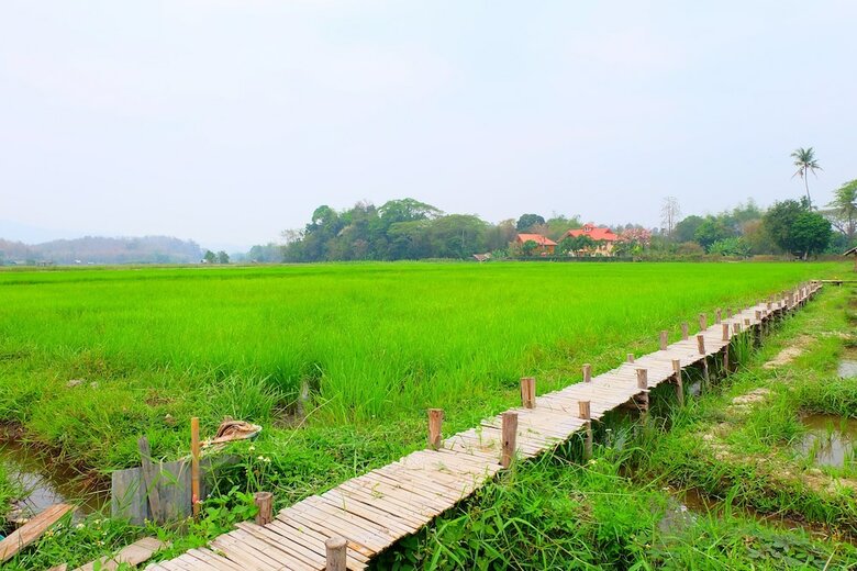 Hotel Nanee Maerim Lake View