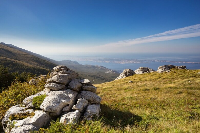 Agroturismo Linden Tree Retreat & Ranch