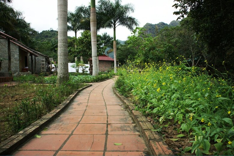 Hotel Long Phuong Homestay
