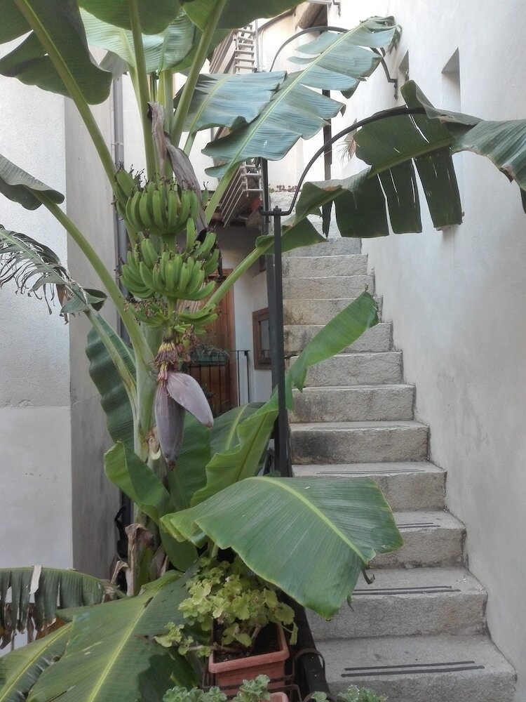Apartamento Appartamento Acquamarina