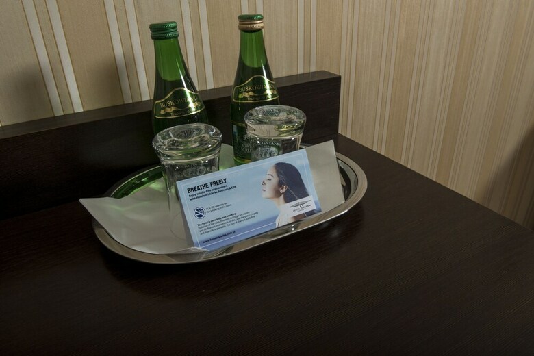 Hotel Iskierka Business & Spa