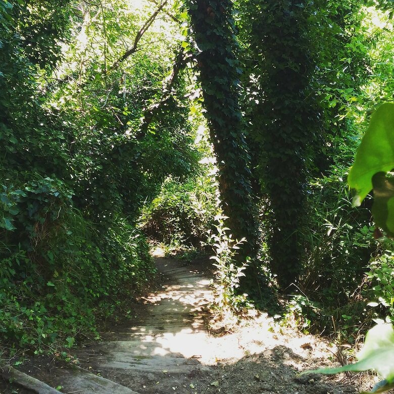 Camping Gabicce Monte