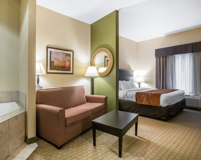 Hotel Comfort Suites Vestal Near University