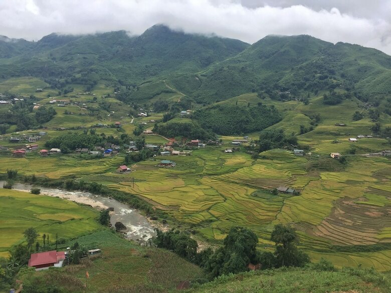 Bed & Breakfast Freedom Homestay