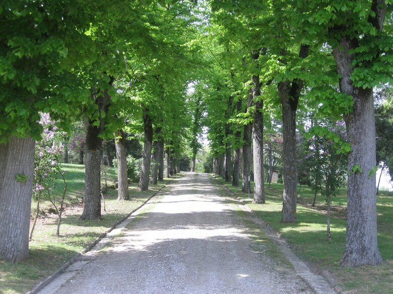 Agroturismo Agriturismo Il Poggiolo