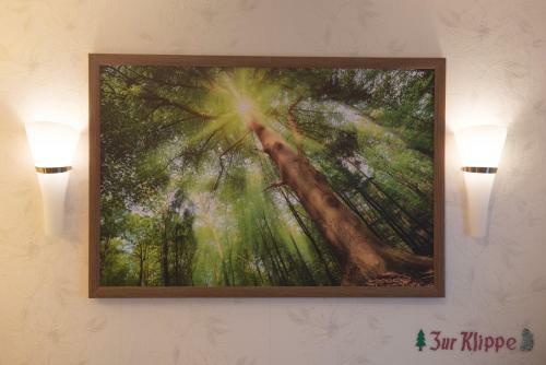 Apartamentos Zum Wildbach Schierke - Harz